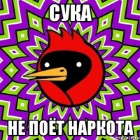 сука не поёт наркота