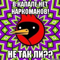 в Капале нет наркоманов! не так ли??