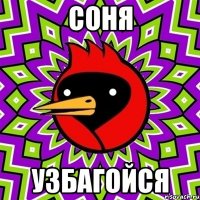 соня узбагойся