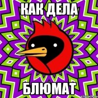 как дела блюмат