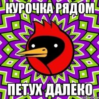 Курочка рядом Петух далеко