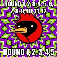 Round 1, 2, 3, 4. 5, 6, 7, 8, 9, 10, 11, 12 Round 1, 2, 3, 4,5