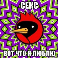 Секс Вот что я люблю