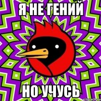 я не гений но учусь