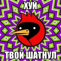 хуй твой шатнул