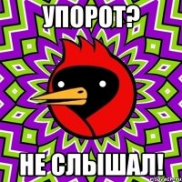 упорот? не слышал!