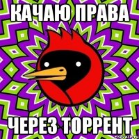 КАЧАЮ ПРАВА ЧЕРЕЗ ТОРРЕНТ