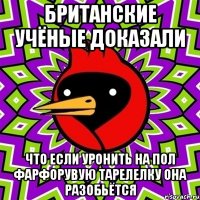 БРИТАНСКИЕ УЧЁНЫЕ ДОКАЗАЛИ ЧТО ЕСЛИ УРОНИТЬ НА ПОЛ ФАРФОРУВУЮ ТАРЕЛЕЛКУ ОНА РАЗОБЬЁТСЯ