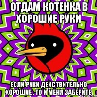 отдам котенка в хорошие руки если руки действительно хорошие , то и меня заберите