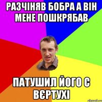 разчіняв бобра а він мене пошкрябав патушил його с вєртухі