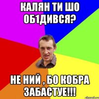 Калян ти шо об1дився? НЕ НИЙ , БО КОБРА ЗАБАСТУЕ!!!