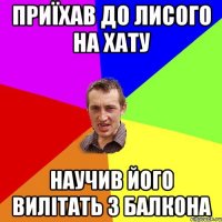 приїхав до лисого на хату научив його вилітать з балкона