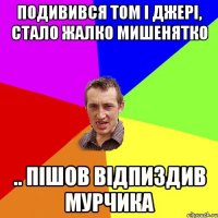 Подивився Том і Джері, стало жалко мишенятко .. пішов відпиздив Мурчика