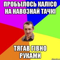 Пробылось калісо на навознай тачкі тягав гівно руками