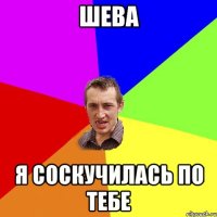 шева я соскучилась по тебе