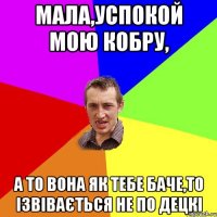 Мала,успокой мою кобру, а то вона як тебе баче,то ізвівається не по децкі