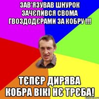 зав'язував шнурок зачєпився свома гвоздодєрами за кобру !!! тєпєр дирява кобра вікі нє трєба!