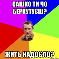 САШКО ТИ ЧО БЕРКУТУЄШ? ЖИТЬ НАДОЄЛО?