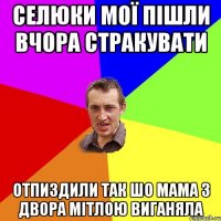 селюки мої пішли вчора стракувати отпиздили так шо мама з двора мітлою виганяла