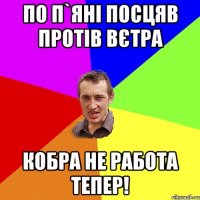 По п`яні посцяв протів вєтра Кобра не работа тепер!