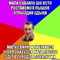 Мала сказало шо всто ростайомся пышов отпыздив Едыка малу свиню и набухався згоря оказуэся мала просто эдіт в город за покупками