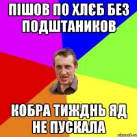 пішов по хлєб без подштаников кобра тижднь яд не пускала