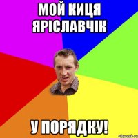 МОЙ КИЦЯ ЯРІСЛАВЧІК У ПОРЯДКУ!