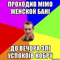 Проходив мімо женской бані до вечора элі успокоів кобру