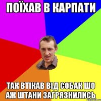 поїхав в Карпати так втікав від собак шо аж штани загрязнились