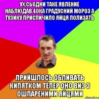 ух.сьодни таке явление наблюдав.40ка градусний мороз а тузику приспичило яйця полизать прийшлось обливать кипятком.тепер оно виэ з ошпареними яйцями