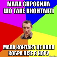 мала спросила шо таке вконтакті мала,контакт це коли кобра лізе в нору