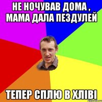 Не ночував дома , мама дала пездулей тепер сплю в хліві