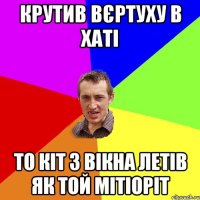 КРУТИВ ВЄРТУХУ В ХАТІ ТО КІТ З ВІКНА ЛЕТІВ ЯК ТОЙ МІТІОРІТ