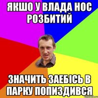 Якшо у Влада нос розбитий значить заебісь в парку попиздився