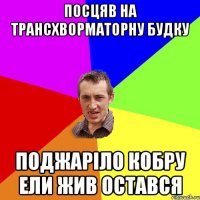 Посцяв на трансхворматорну будку Поджаріло кобру ели жив остався