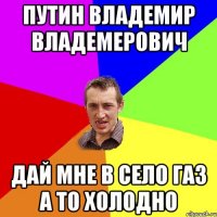 путин владемир владемерович дай мне в село газ а то холодно