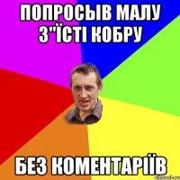 Попросыв малу з"їсті кобру БЕЗ КОМЕНТАРІЇВ