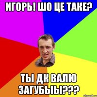 Игорь! шо це таке? ТЫ дк валю загубыы???