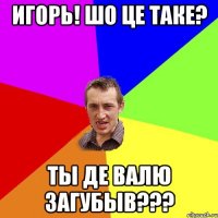 Игорь! шо це таке? ТЫ де валю загубыв???