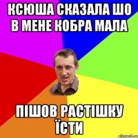 ксюша сказала шо в мене кобра мала пішов растішку їсти