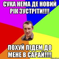 СУКА НЕМа Де НОВИЙ РІК ЗУСТРІТИ!!!! ПОХУЙ ПІДЕМ ДО МЕНЕ В САРАЙ!!!!