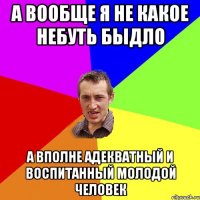 А вообще я не какое небуть быдло а вполне адекватный и воспитанный молодой человек