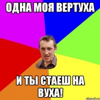 Одна моя вертуха и ты стаеш на вуха!