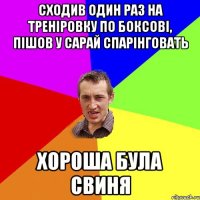 сходив один раз на треніровку по боксові, пішов у сарай спарінговать хороша була свиня