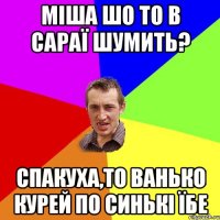 МІША ШО ТО В САРАЇ ШУМИТЬ? СПАКУХА,ТО ВАНЬКО КУРЕЙ ПО СИНЬКІ ЇБЕ