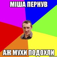 міша пернув аж мухи подохли