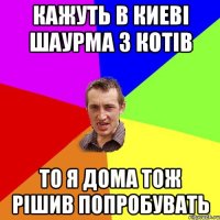 Кажуть в Киеві шаурма з котів то я дома тож рішив попробувать