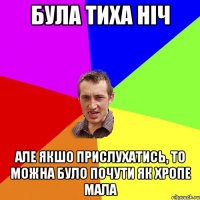 була тиха ніч але якшо прислухатись, то можна було почути як хропе мала