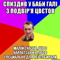 спиздив у баби галі з подвір'я цвєтов малій сказав, шо з карпатських лугов спєциально для неї собирали