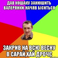 дав кошаку занюшить валерянки-начяв біситься закрив на всю весну в сарай,хай дрочє